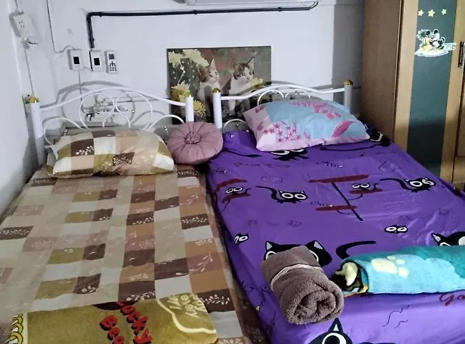 旅馆 丹尼旅舍 *